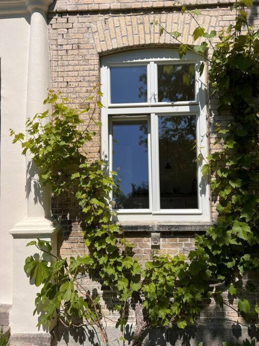 Idyllisches Appartement Nahe Ostsee Und Schlei Rabenkirchen-Faulück 외부 사진