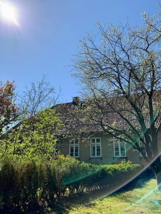 Idyllisches Appartement Nahe Ostsee Und Schlei Rabenkirchen-Faulück 외부 사진